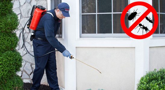 Kelkit Kene İlaçlama böcek ilaçlama ve haşere kontrolü — ilaclama-tr.com